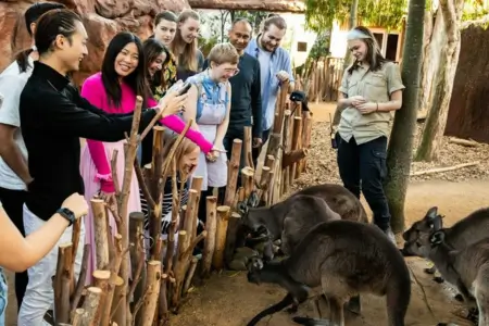 Private Sydney Wildlife Tour